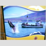 22_054 Akureyri.jpg